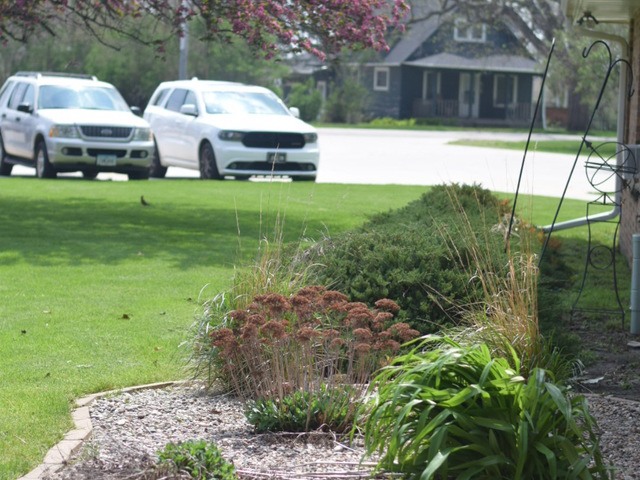 ACCURA HEALTHCARE OF OGDEN, LLC